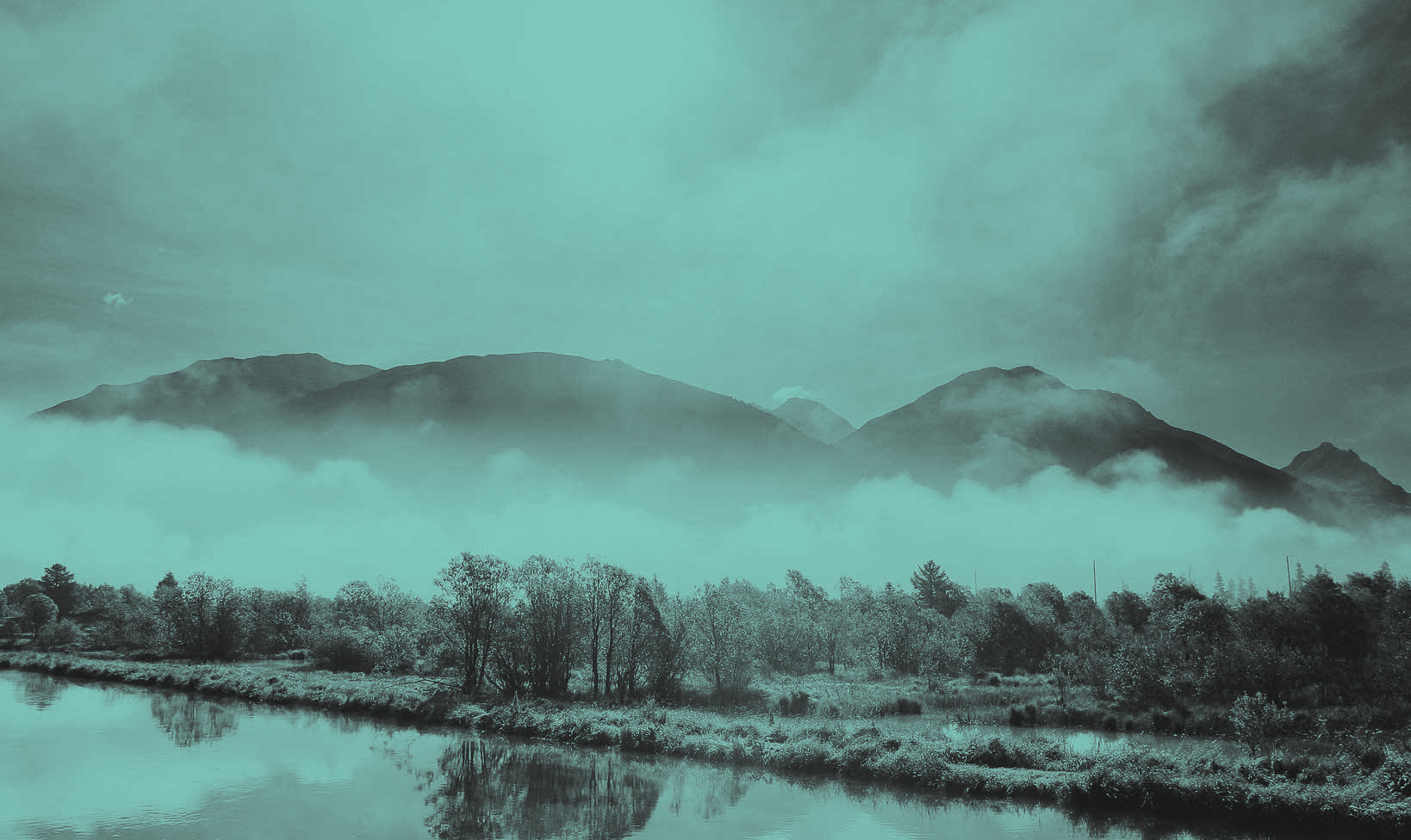 imgi 5 roca holding background